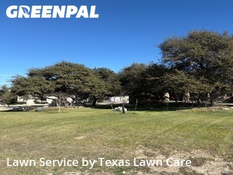 Lawn Maintenancein New Braunfels,78132,Grass Cut by Texas Lawn Care Serv, work completed in Feb , 2026
