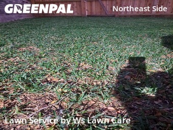 Grass Cuttingin Converse,78109,Lawn Mowing Service by Ws Lawn Care, work completed in Dec , 2025