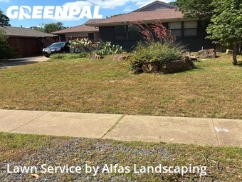 Lawn Mowingin Richardson,75080,Lawn Care by Alfas Landscaping, work completed in Jun , 2026