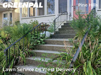 Lawn Maintenance nearby Albany, NY, 