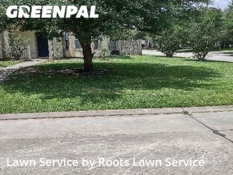 Lawn Mow nearby Spring, TX, 