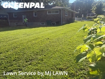 Lawn Cut nearby Webster Groves, MO, 
