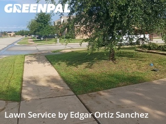 Lawn Care nearby Princeton, TX, 