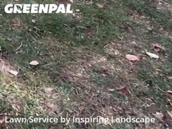 Lawn Mowing Servicein Castle Rock,80104,Lawn Service by Inspiring Landscape, work completed in Jan , 2026