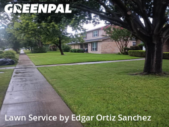 Yard Mowingin Richardson,75080,Lawn Cut by Edgar Ortiz Sanchez, work completed in Dec , 2025