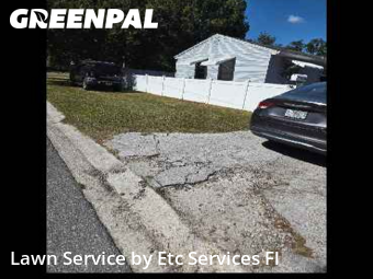 Landscaping Cleanup In St. Petersburg,33703,Landscape Design by Etc Services Fl, work completed in Nov , 2025