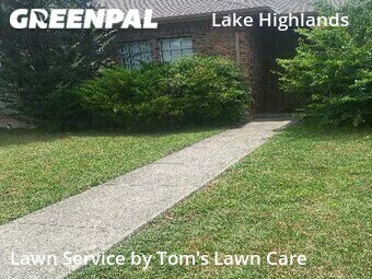 Grass Cut nearby Dallas, TX, 