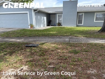Lawn Mowing nearby Tampa, FL, 