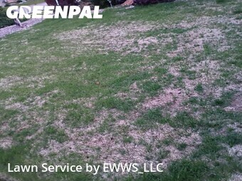 Lawn Service nearby Colorado Springs, CO, 