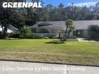 Landscaping Companies In Tampa,33647,Landscaping Renovation by Mks Service Group, work completed in Nov , 2025