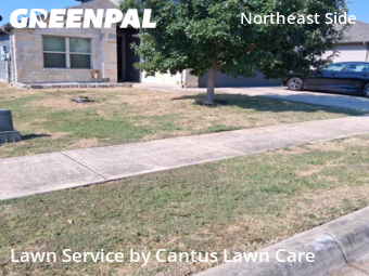 Lawn Mowing nearby Converse, TX, 