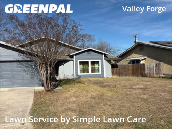 Lawn Mowin San Antonio,78233,Lawn Maintenance by Simple Lawn Care, work completed in Jan , 2026