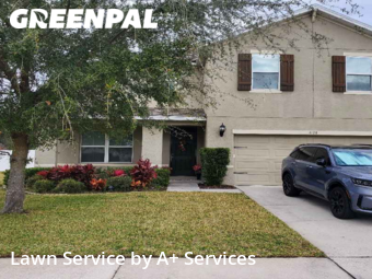 Grass Cut nearby Spring Hill, FL, 