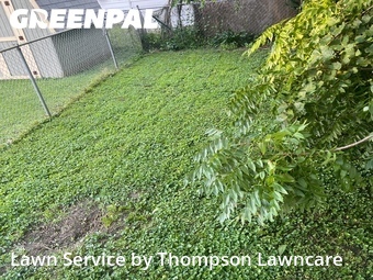 Lawn mowed in Freeport, 61032