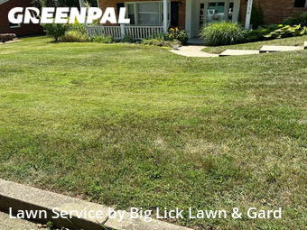Grass Cutting nearby Cave Spring, VA, 