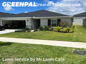 Yard Cutting nearby Seffner, FL, 