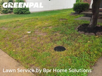 Lawn Care nearby Leesburg, VA, 