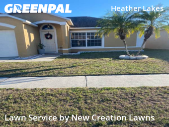Yard Cuttingin Brandon,33511,Lawn Service by New Creation Lawns, work completed in Feb , 2026