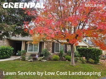 reliable-lawn-care-service-in-Fresno-CA
