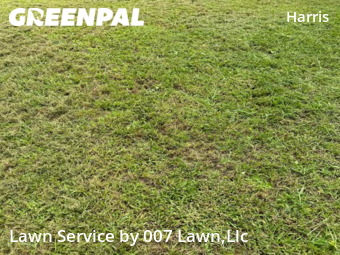 Grass Cutting nearby Lehigh Acres, FL, 