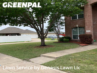 Lawn Maintenance nearby Mesquite, TX, 