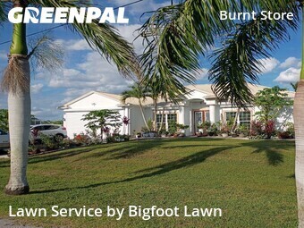 Backyard Landscaping In Cape Coral,33993,Landscapers by Bigfoot Lawn, work completed in Jun , 2026