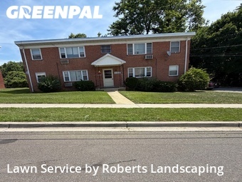 Lawn Cut nearby Hillcrest Heights, VA, 