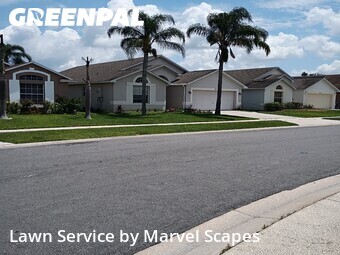 Grass Cut nearby Kissimmee, FL, 
