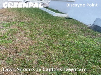 Grass Cut nearby Miami Beach, FL, 