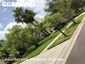 Grass Cut nearby Lutz, FL, 