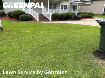 Lawn Cut nearby Lillington, NC, 