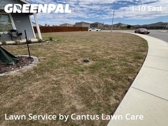 Lawn Mowing nearby Converse, TX, 