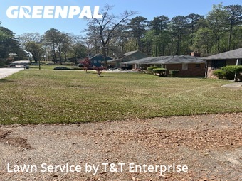 Lawn Mow nearby College Park, GA, 