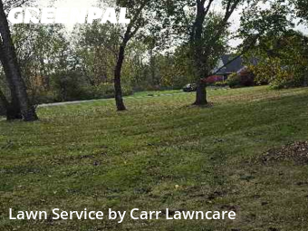 Lawn Cutting nearby Fairport, NY, 