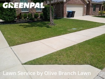 Grass Cut nearby Fort Worth, TX, 