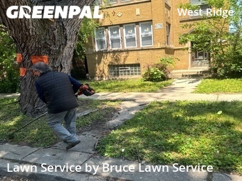 Grass Cutin Chicago,60659,Yard Cutting by Bruce Lawn Service, work completed in Jun , 2026