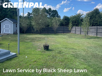 Grass Cutting nearby Fort Mill, NC, 