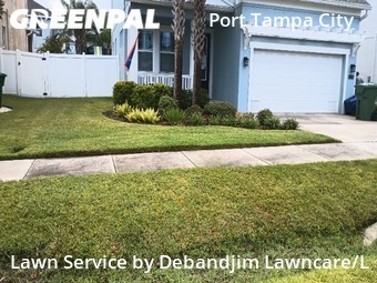 Lawn Cut nearby Tampa, FL, 