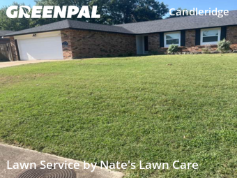 Yard Cutting nearby Fort Worth, TX, 