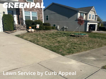 Lawn Work in Concord, 28025, Front Yard Mowing by Curb Appeal, work completed in Nov , 2025