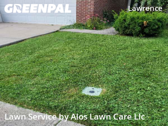 Grass Cut nearby Indianapolis, IN, 