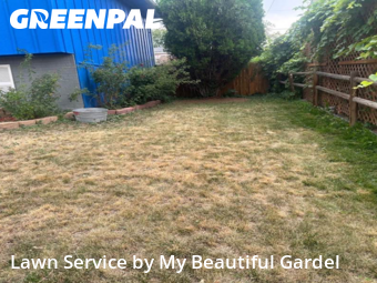Yard Mowing nearby Thornton, CO, 