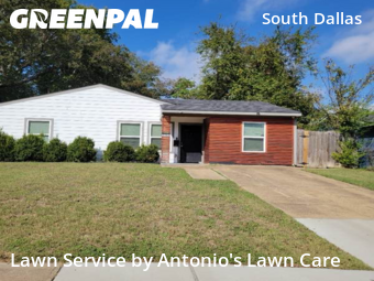 Lawn Mowin Dallas,75215,Lawn Cut by Antonio's Lawn Care, work completed in Nov , 2025