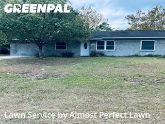 Grass Cut nearby Ocala, FL, 