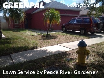 Grass Cut nearby Apollo Beach, FL, 