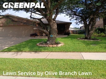 Lawn Care Service nearby Fort Worth, TX, 