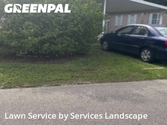 Lawn Cut nearby Kissimmee, FL, 