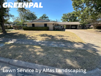 Lawn Cutin Richardson,75080,Lawn Cut by Alfas Landscaping, work completed in Dec , 2025