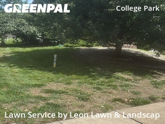 Grass Cut nearby Overland Park, KS, 
