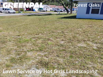 Grass Cut nearby Spring Hill, FL, 